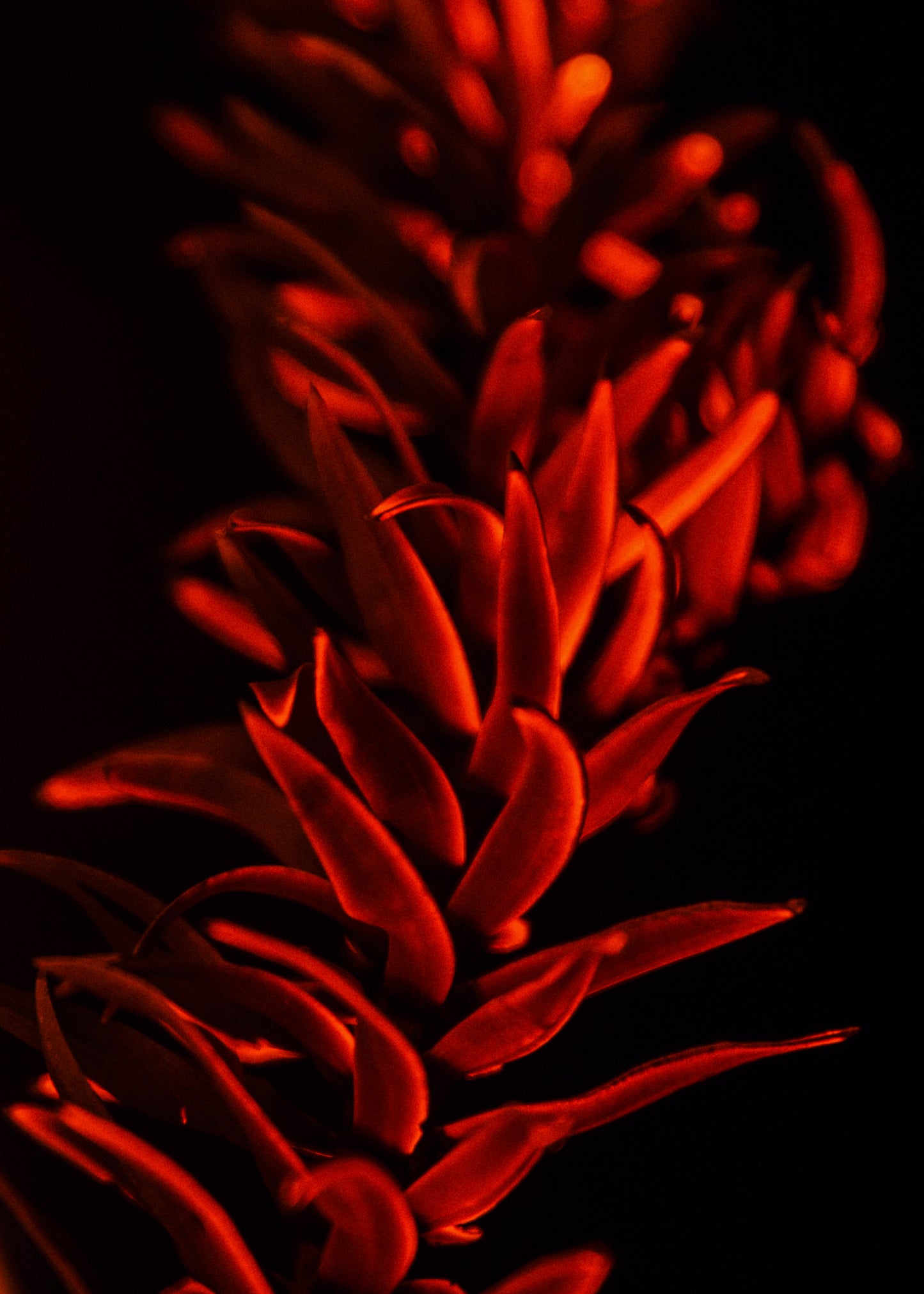 Bras Da Mantiquera