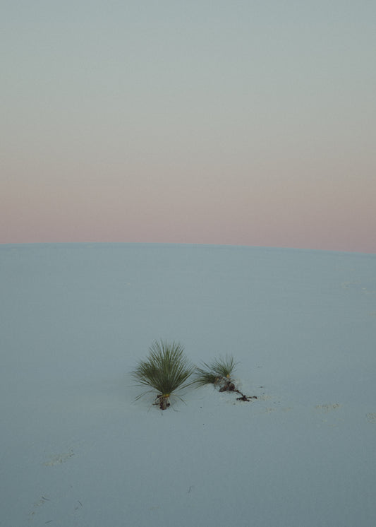 White Sands